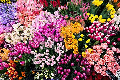 《龙腾世纪：影障守护者》广告泄露游戏将于10月31日发售 预购即将开启